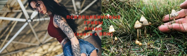 mdma Краснослободск
