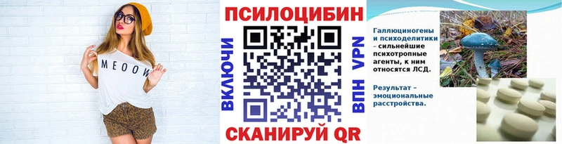 OMG tor  Городище  Псилоцибиновые грибы Psilocybe 