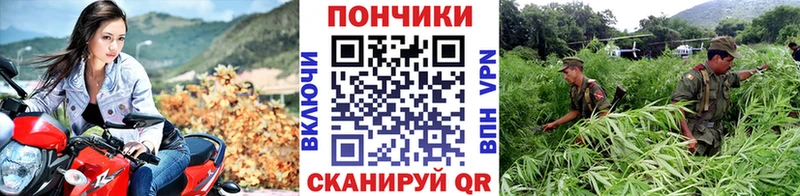 mega онион  Городище  Шишки марихуана конопля 